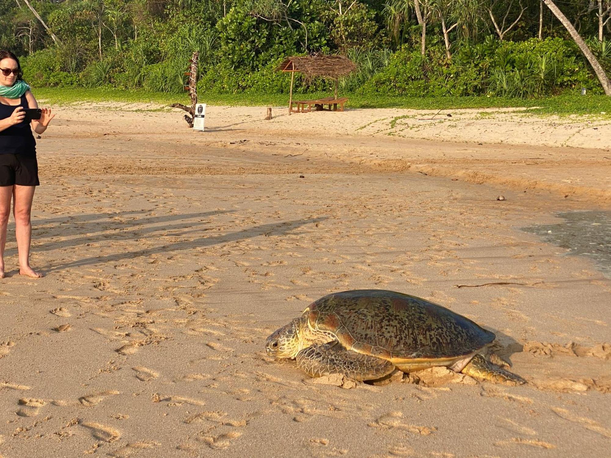 Talalla Bay Beach Luaran gambar