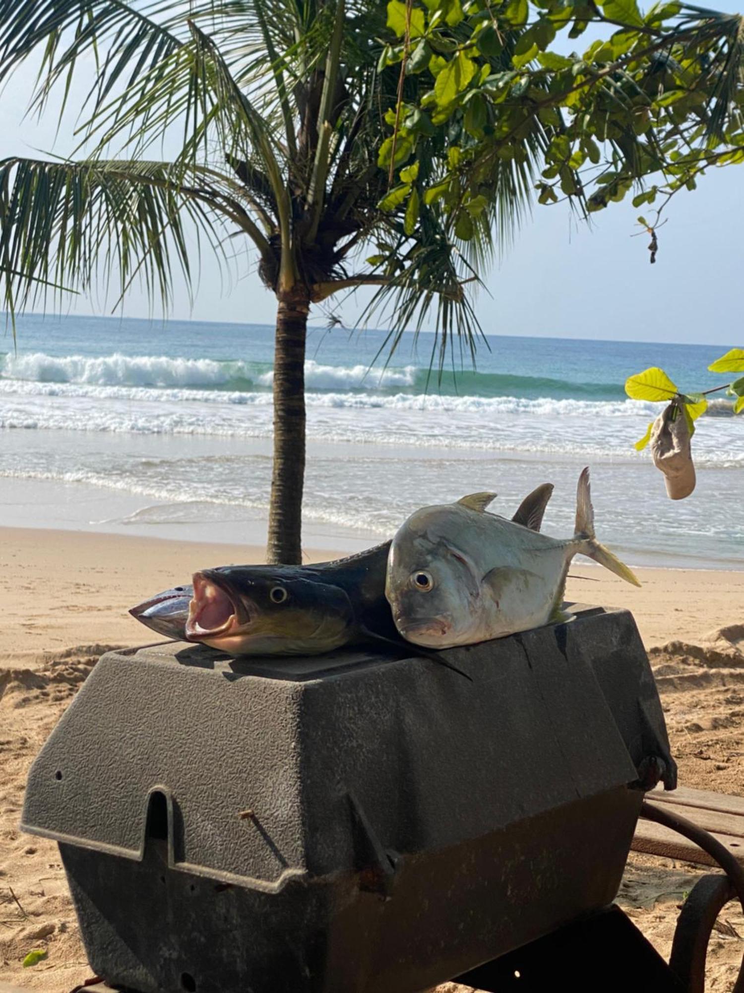 Talalla Bay Beach Luaran gambar
