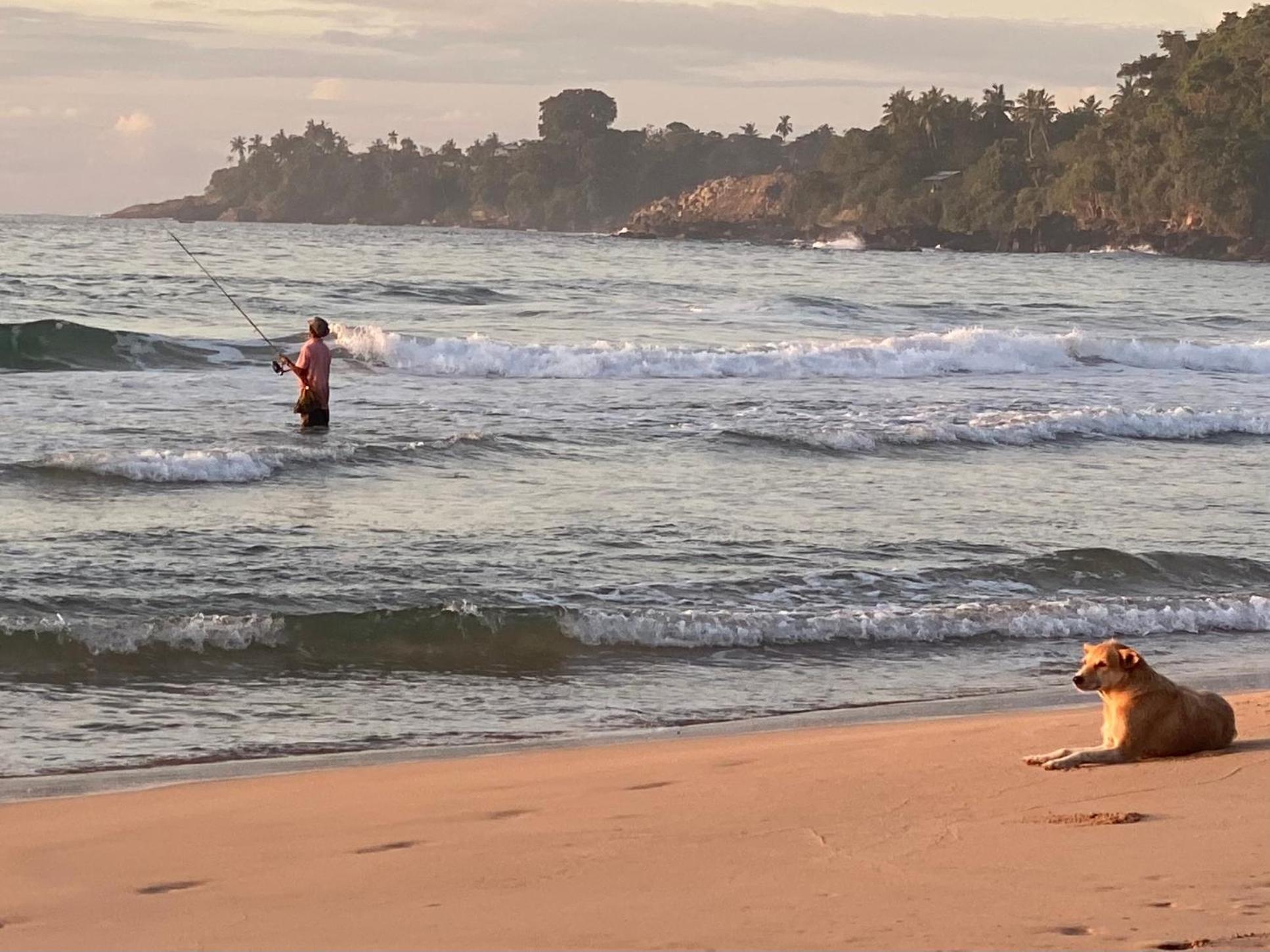 Talalla Bay Beach Luaran gambar