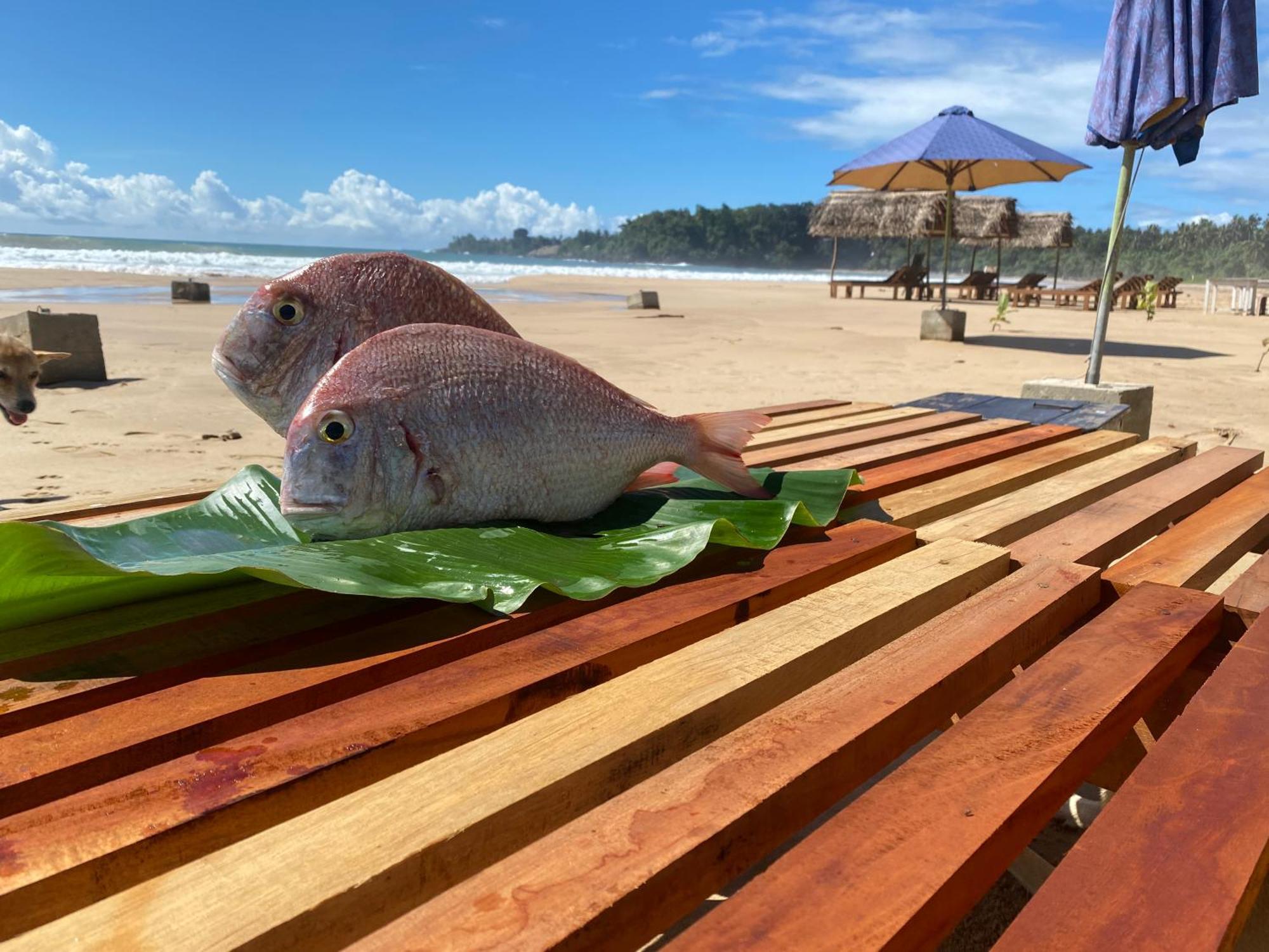 Talalla Bay Beach Luaran gambar